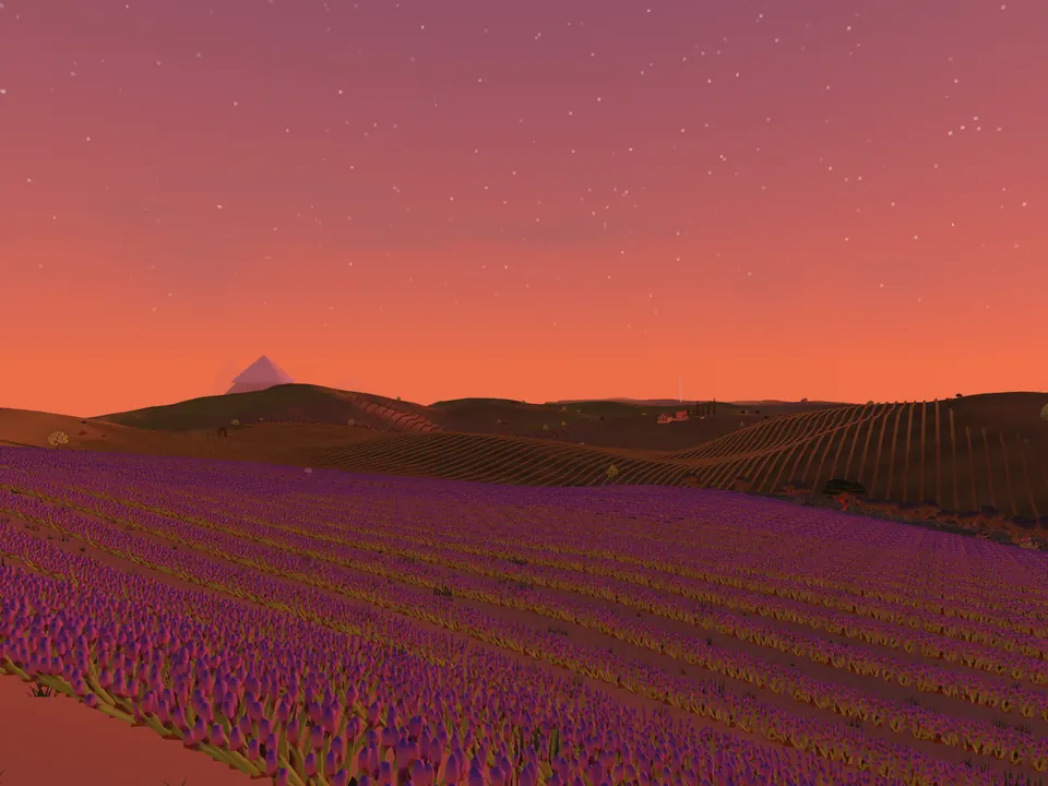 Des rangs de lavande sous un ciel rouge du soir