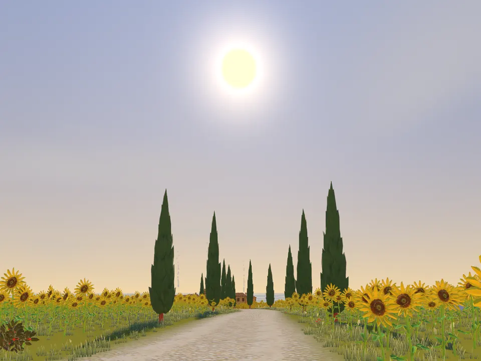 Une route blanche entre les tournesols, vers une rangée de cyprès